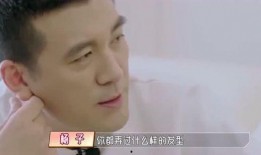 杨妈最新消息爆料,揭秘娱乐圈最新动态与幕后真相